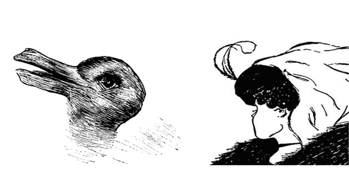 Is inbed care a duck or rabbit, a crabby old lady or an elegant lady ...