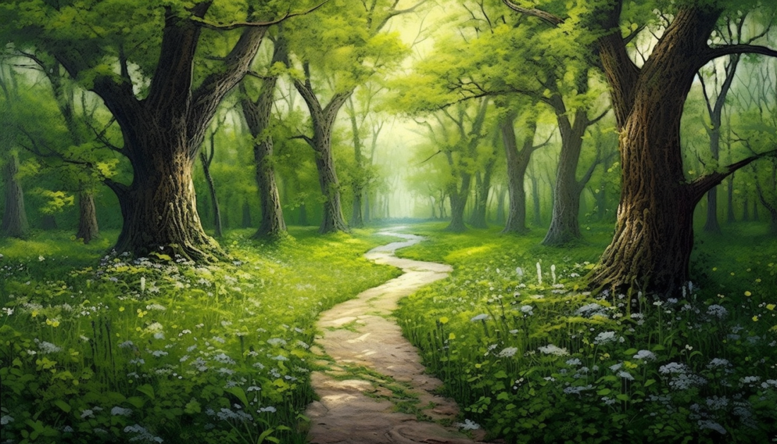 Pathway in Woods